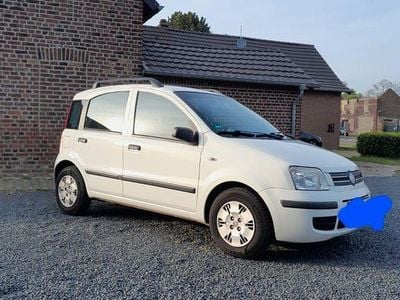 Second-hand Fiat Panda 60 CP (44 kW) 2009 Alb Hatchback