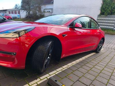 Gebraucht Tesla Model 3 Performance 392 kW (534 PS) 2023 Rot Limousine