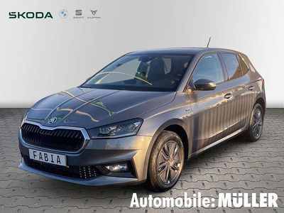 Grau Neu 2025 Skoda Fabia Tour Limousine | 23.490 € (Etwas zu teuer)