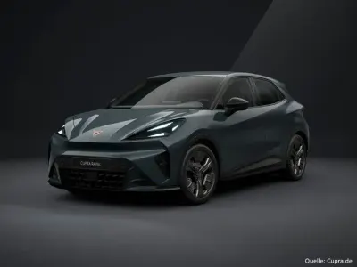 Gebraucht Cupra Raval