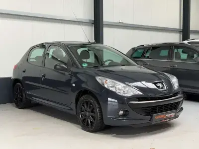 Używany Peugeot 206 Basis 60 KM (44 kW) 2009 Szary