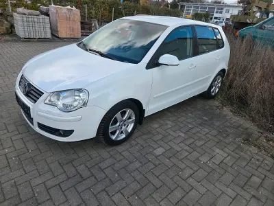 Gebraucht VW Polo 80 PS (58 kW) 2008 Weiß Kleinwagen