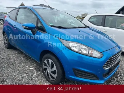 Usata Ford Fiesta Trend 60 CV (44 kW) 2015 Blu Utilitaria