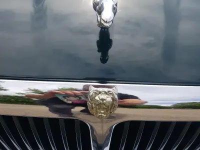 Gebraucht Jaguar X300 241 PS (177 kW) 1996 Grün Limousine