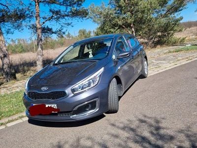 Usata Kia Ceed DREAM-TEAM Edition 99 CV (72 kW) 2016 Grigio Utilitaria