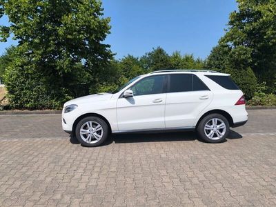 Mercedes ML250