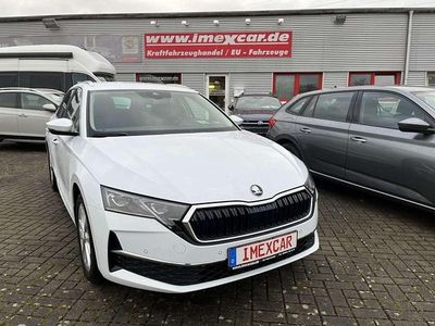 Moon weiss metallic Neu 2025 Skoda Octavia Selection Kombi | 32.990 € (Guter Preis)