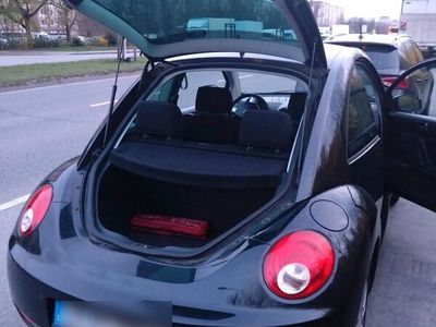 gebraucht VW Beetle Kiefer Auto