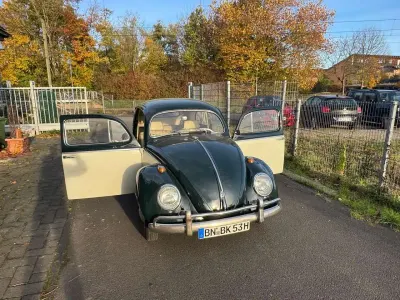 Gebraucht VW Käfer 24 PS (17 kW) 1953