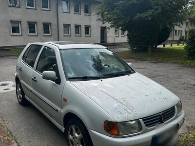 VW Polo