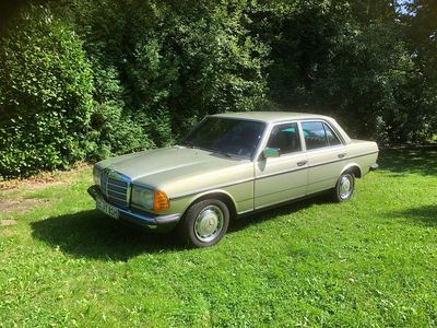 Grün Gebraucht 1981 Mercedes 200 Limousine | 7.900 €