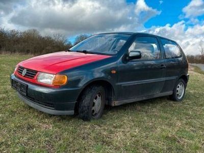 gebraucht VW Polo 