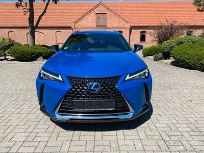 Lexus UX 250h