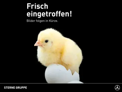 Second-hand Mercedes Vito 163 CP (119 kW) 2021 Gri Van