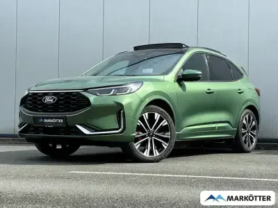 Gebraucht Ford Kuga ST-Line X 152 PS (111 kW) 2024 Gruen SUV