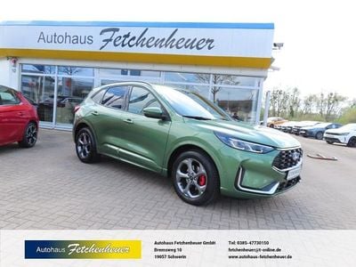 Usata Ford Kuga ST-Line X 186 CV (136 kW) 2025 Verde SUV