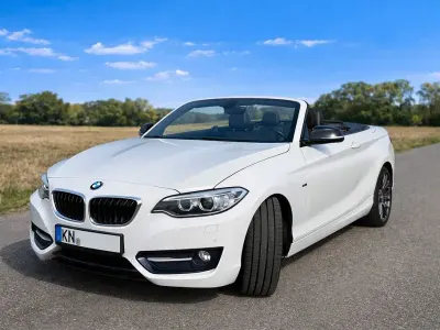 Brugt BMW 220