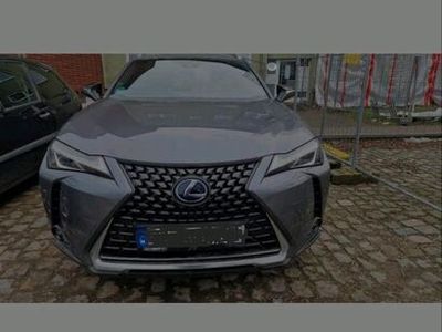 gebraucht Lexus UX 250h Style edition