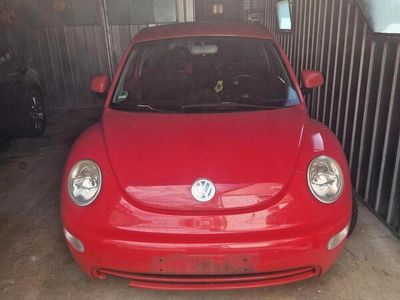 VW Beetle