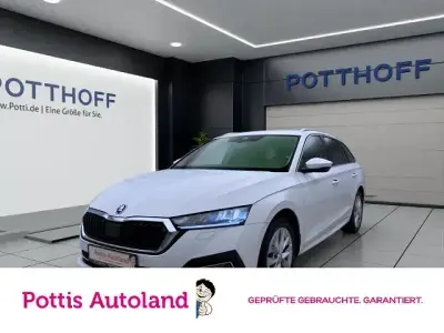 Gebraucht Skoda Octavia Style 150 PS (110 kW) 2023 Candyweiß Kombi