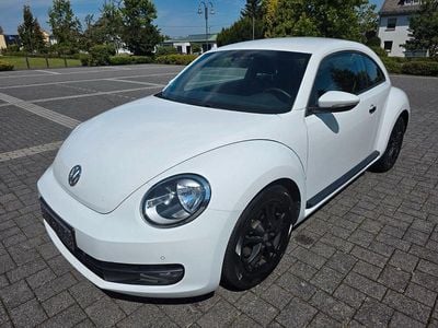 VW Beetle