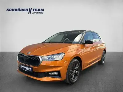 Usata Skoda Fabia