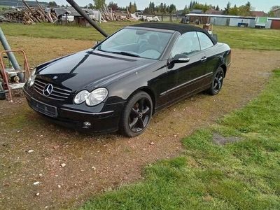 gebraucht Mercedes 200 kompressor Cabrio