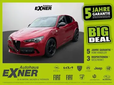 Gebraucht Alfa Romeo Stelvio Quadrifoglio 520 PS (382 kW) 2024 Rosso alfa SUV