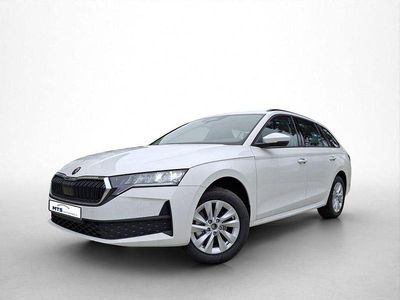 Neu Skoda Octavia Essence 116 PS (85 kW) 2025 Weiß Kombi