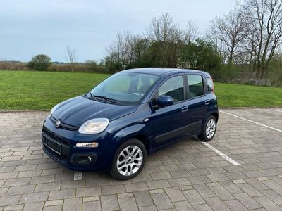 gebraucht Fiat Panda 1.Hand ‼️‼️ TOP ZUSTAND ‼️‼️