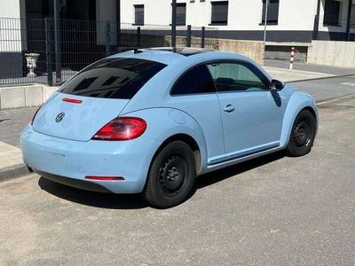 VW Beetle