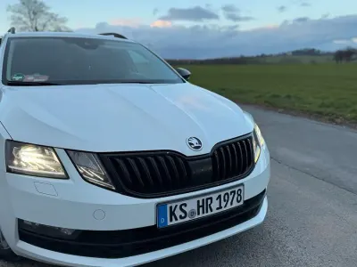Gebraucht Skoda Octavia 150 PS (110 kW) 2017 Weiß Kombi