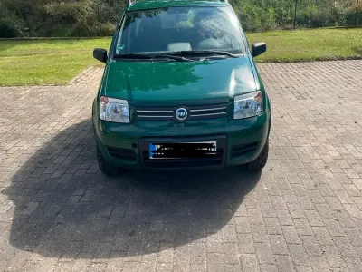 Gebraucht Fiat Panda 4x4 70 PS (51 kW) 2006 Grün Kleinwagen