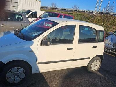 Gebraucht Fiat Panda Active 54 PS (39 kW) 2008 Weiß Kleinwagen