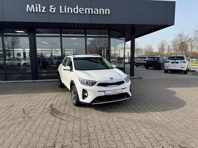 Gebraucht Kia Stonic 84 PS (61 kW) 2020 Weiß SUV