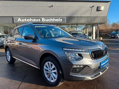 Grau Gebraucht 2024 Skoda Kamiq Selection SUV | 22.990 € (Guter Preis)
