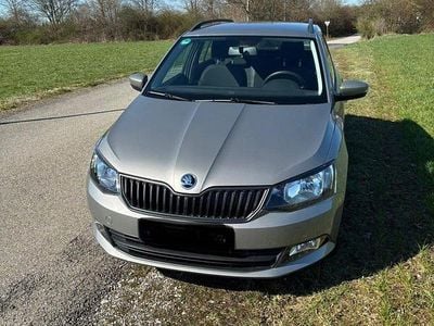 Gebraucht Skoda Fabia Cool Plus 75 PS (55 kW) 2018 Grau Kleinwagen