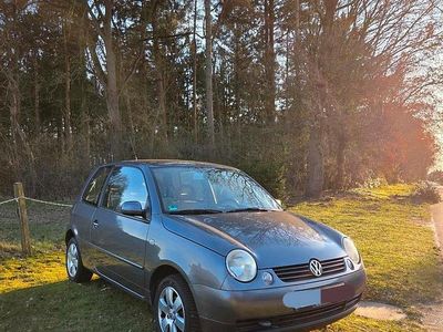 Gebraucht VW Lupo 50 PS (36 kW) 2004 Grau Kleinwagen