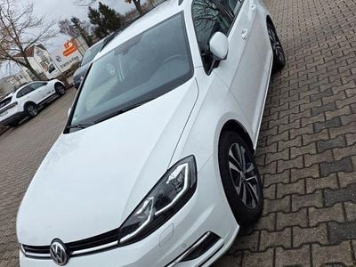 Gebraucht VW Golf VII United 150 PS (110 kW) 2020 Weiß Kombi