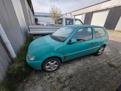 VW Polo