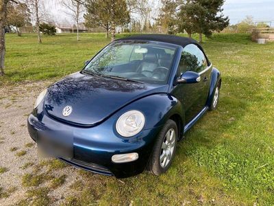 gebraucht VW Beetle cabrio
