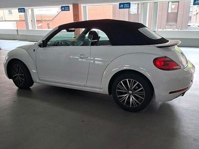 VW Beetle