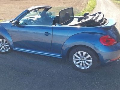 VW Beetle