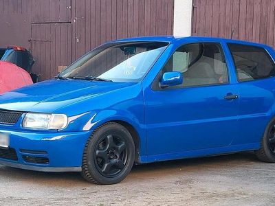 VW Polo