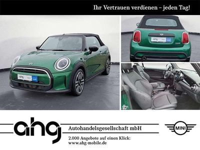Gebraucht Mini Cooper Cabriolet Classic 136 PS (100 kW) 2023 Grün Cabrio