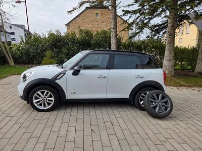 Gebraucht Mini Cooper SD Countryman 143 PS (105 kW) 2012 Weiß SUV