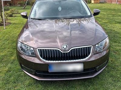 Gebraucht Skoda Octavia Style 110 PS (80 kW) 2016 Braun Kleinwagen