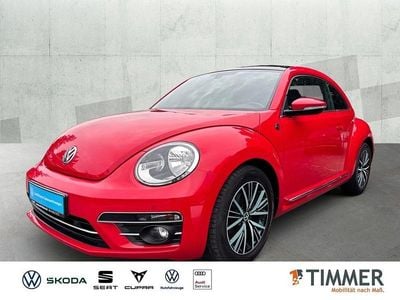 VW Beetle