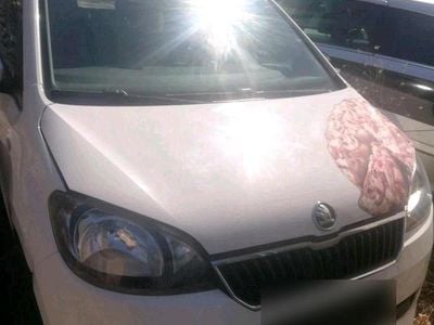 Usata Skoda Citigo 60 CV (44 kW) 2013 Utilitaria