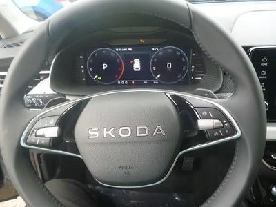 Neu Skoda Kamiq Selection 116 PS (85 kW) 2025 Grau SUV